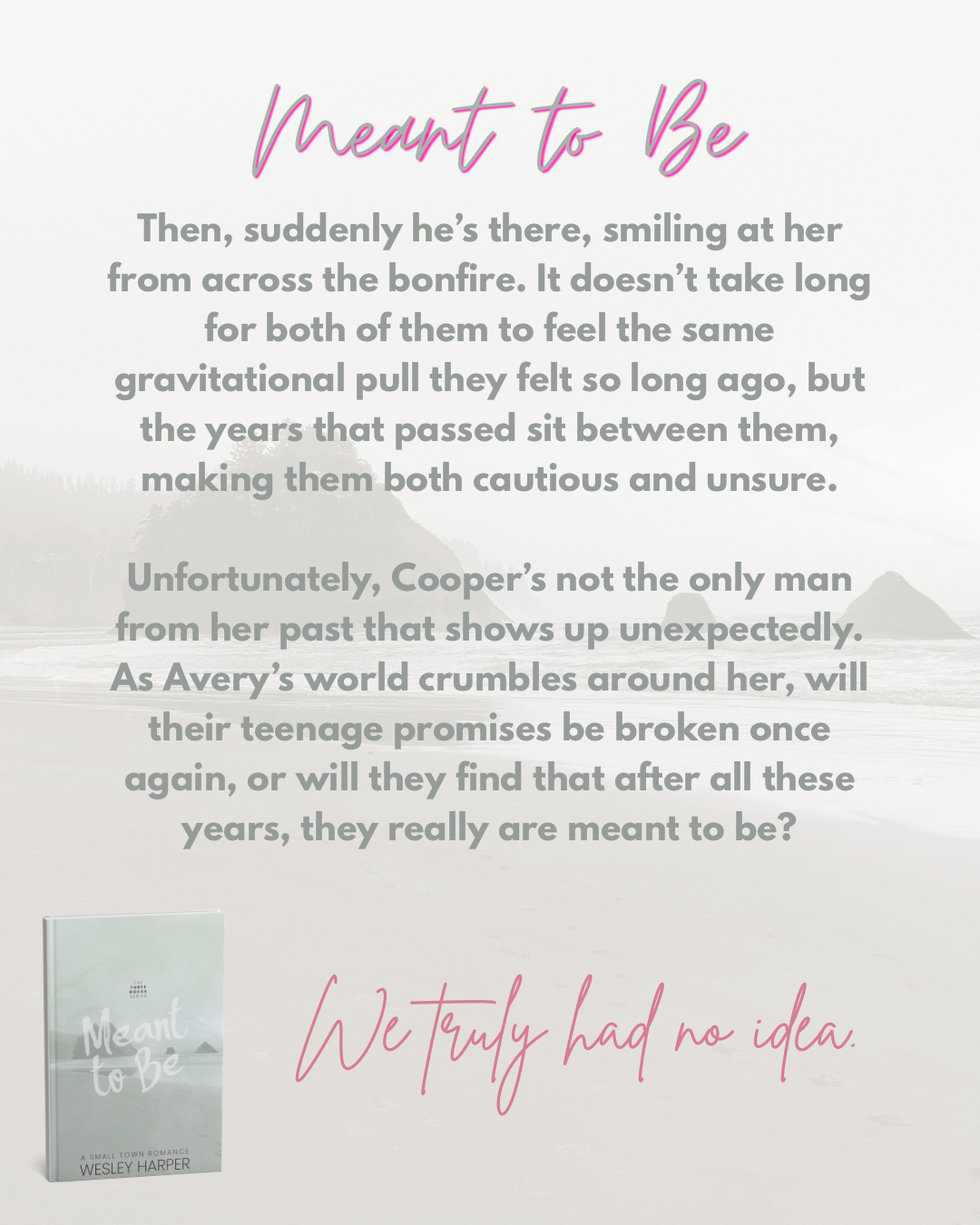Single Book-Meant to Be (free shipping!)