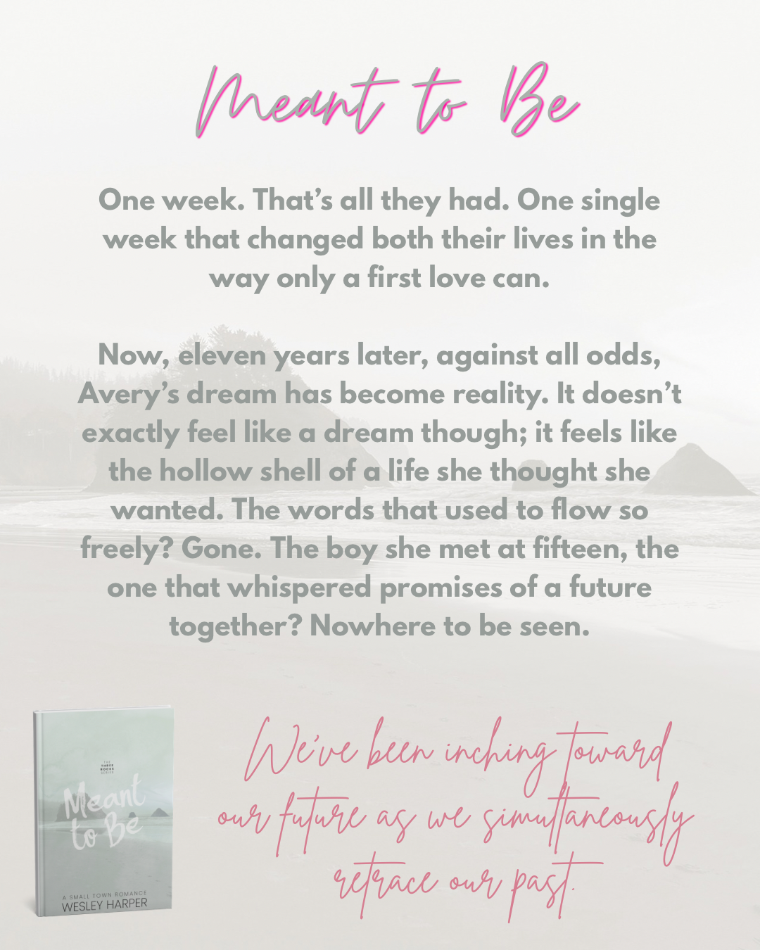 Single Book-Meant to Be (free shipping!)